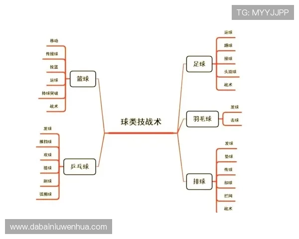 上海排球队进攻策略全解析深度剖析排球战术与团队协作