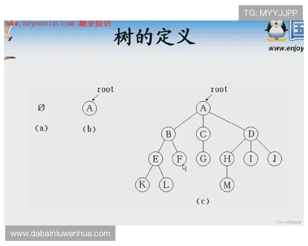 LNG战队的阵地战体系解析及其在DOTA2中的应用策略探讨 LNG战队的阵地战体系解析及其在DOTA2中的应用策略探讨