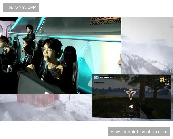 V5战队的崛起之路：从磨砺到辉煌的奋斗历程揭秘