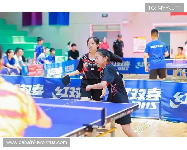 乒乓球的魅力：深入南京乒乓球队的团队协作与默契之道