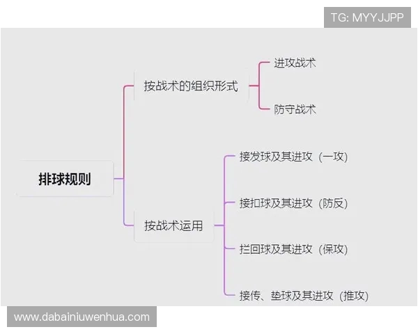 南京排球队整体压制战术解析与实战应用研究 南京排球队整体压制战术解析与实战应用研究