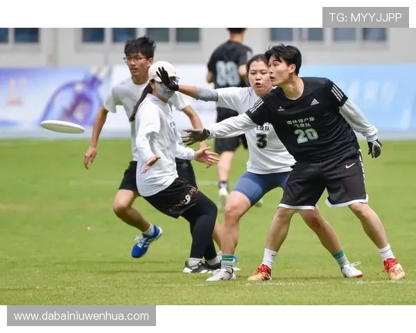 南京飞盘队在世界攀岩锦标赛中的蜕变与新挑战之路探秘