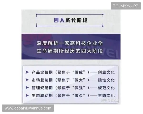 对话杨芳：探索攀岩生涯的挑战与成就之路