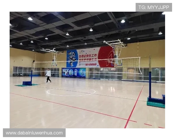 杭州排球队阵地战分析：优劣势及未来发展方向探讨