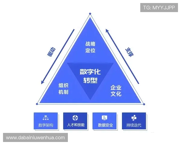 杭州攀岩队转型之路探索新高度与挑战的特别报道