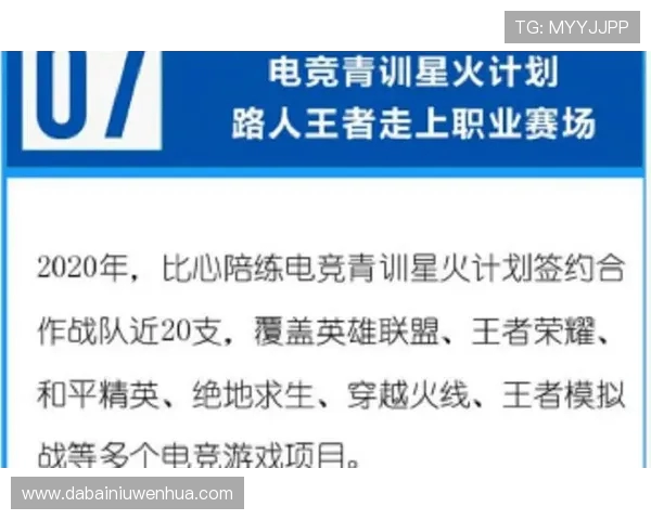 深入探讨FPX战队在王者荣耀中的个人能力与团队协作的完美结合