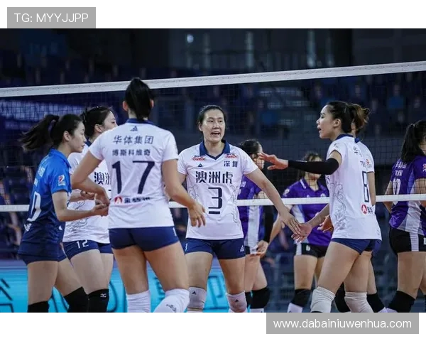 深圳排球队奋勇拼搏全国锦标赛的辉煌历程与未来展望