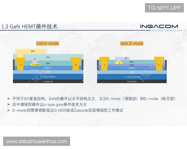 天狼星与厄勒布精彩对决直播全程回顾与分析分享