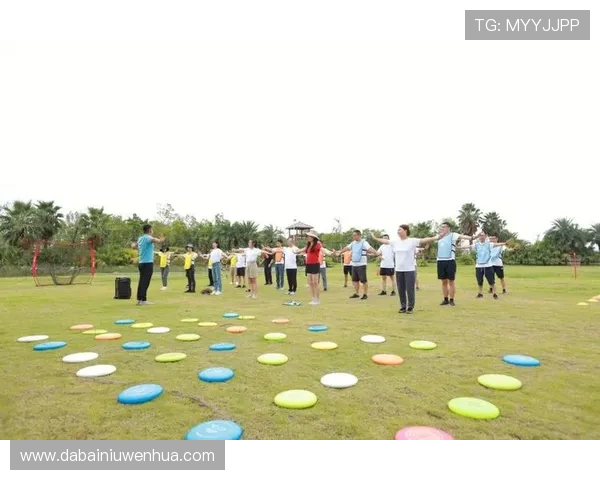 飞盘战术揭秘：深入分析北京飞盘队的阵地战策略与技巧