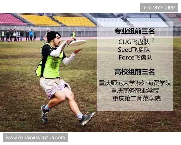 南京飞盘队的个人能力提升与团队协作的完美结合探索