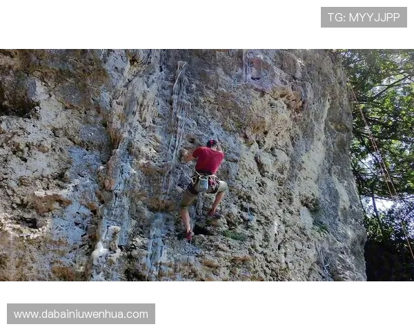 重庆攀岩队状态分析：聚焦训练成果与未来发展方向