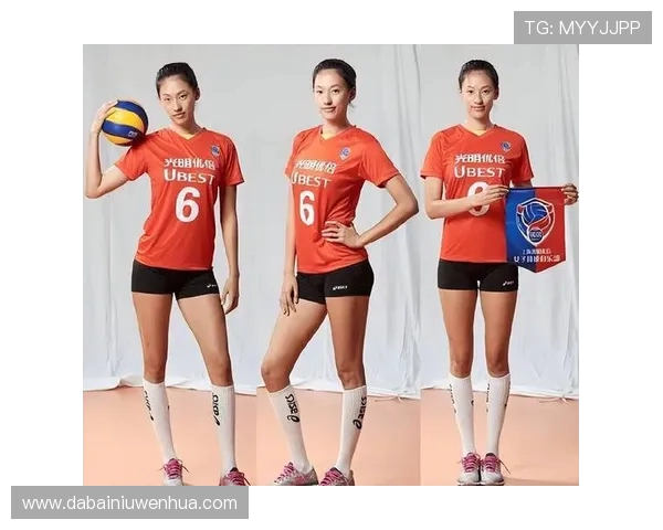 上海排球队技术实力强劲荣登全国排球技术排行榜第四位