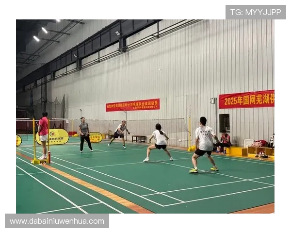 南京羽毛球队技术分析与发展探讨聚焦羽毛球运动的未来与挑战