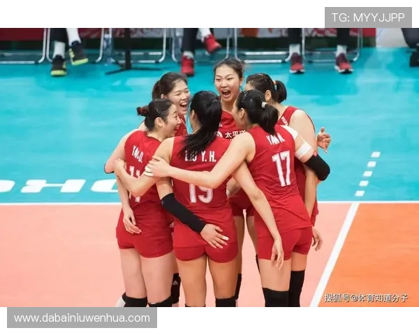 杭州排球队战术表现深度分析与数据解读探讨